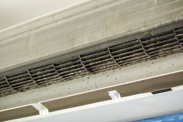 Best Air Vent Cleaning Services  in Waterloo, WI